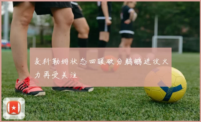麦科勒姆状态回暖砍分鹈鹕进攻火力再受关注