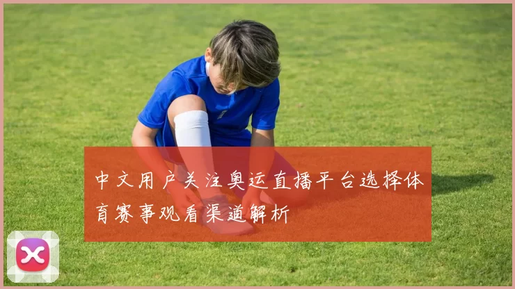 中文用户关注奥运直播平台选择体育赛事观看渠道解析
