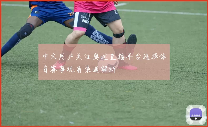 中文用户关注奥运直播平台选择体育赛事观看渠道解析