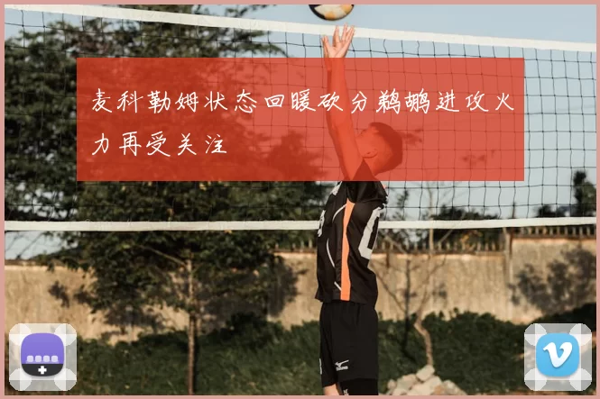 麦科勒姆状态回暖砍分鹈鹕进攻火力再受关注