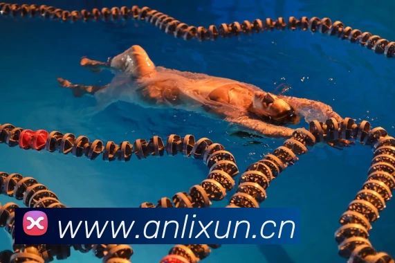 尊龙凯时 - 人生就是搏!(中国区)官方网站服务体系